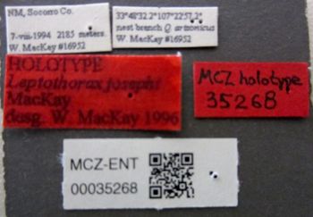 Media type: image;   Entomology 35268 Aspect: labels